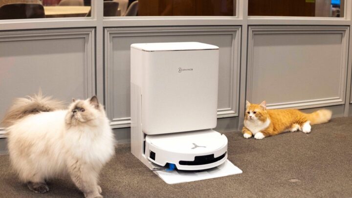 エコバックス、ペット施設にロボット掃除機を導入。毛絡み抑制や静音性で清掃業務を効率化