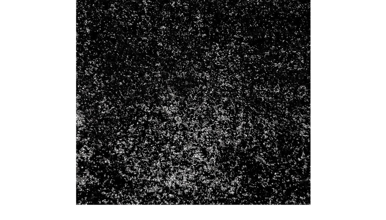 SyntheticGestaltが4D分子基盤モデルを学習、NVIDIA技術で高速化