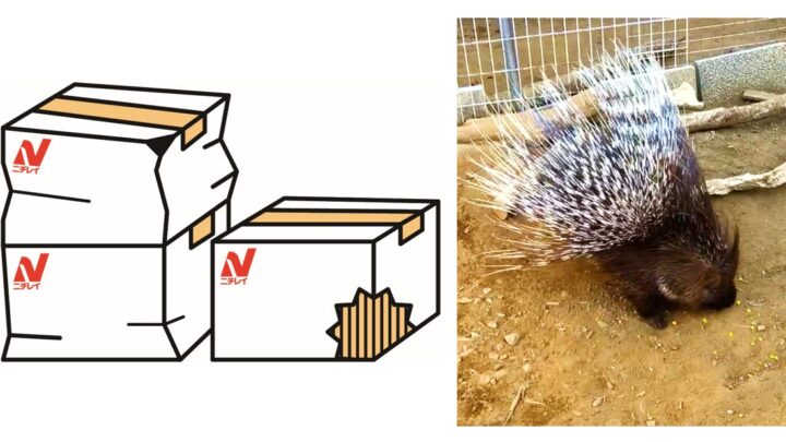 ニチレイフーズ、冷凍物流網でフードロス削減へ。千葉市動物公園に冷凍野菜を提供