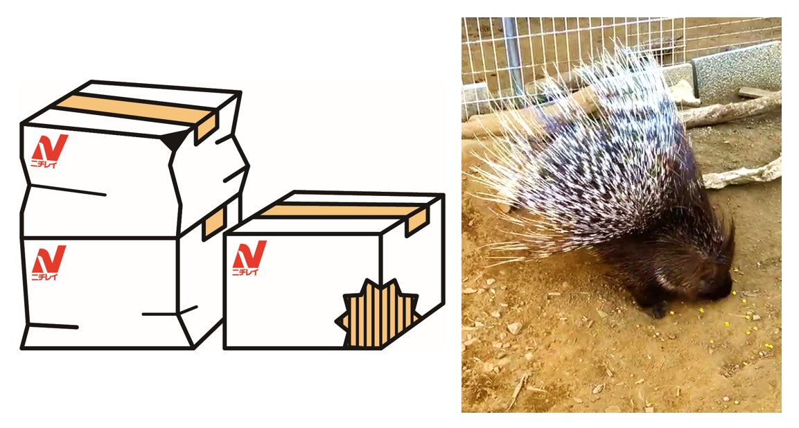 ニチレイフーズ、冷凍物流網でフードロス削減へ。千葉市動物公園に冷凍野菜を提供