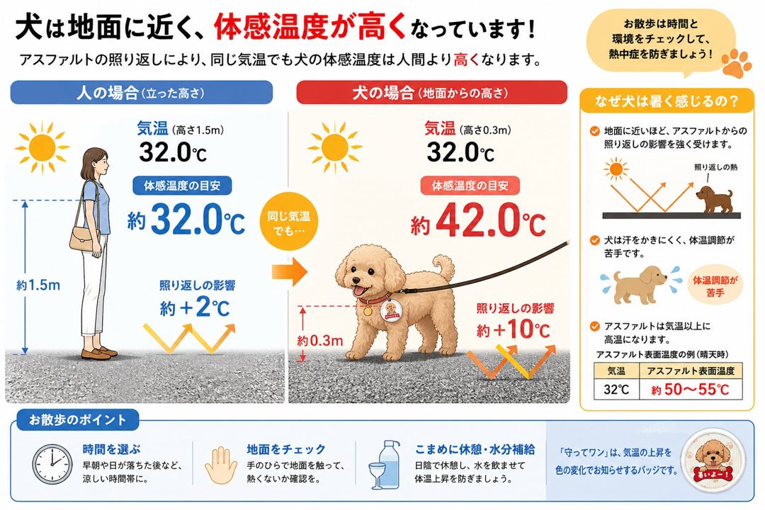 製造現場で6万枚実績の熱中症対策シール、技術を応用し犬用バッジを発売