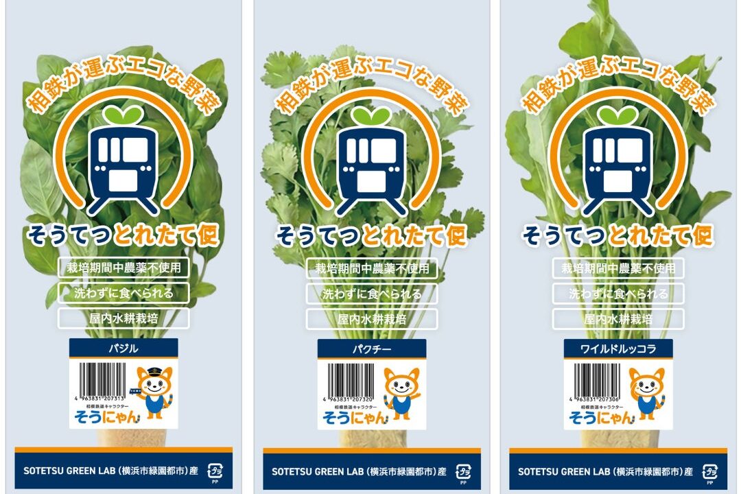 エコデシック、都市型植物工場でハーブの多品種同時栽培を開始。オンデマンド生産へ