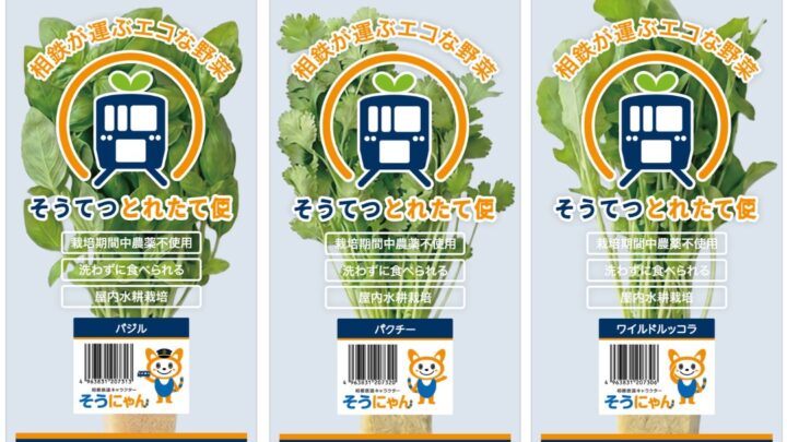 エコデシック、都市型植物工場でハーブの多品種同時栽培を開始。オンデマンド生産へ