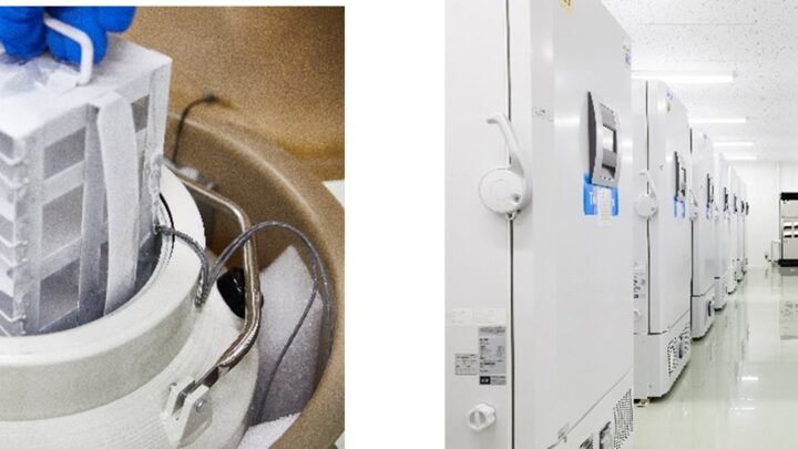 NXワンビシアーカイブズが再生医療等製品製造業の許可取得、保管サービスを拡大