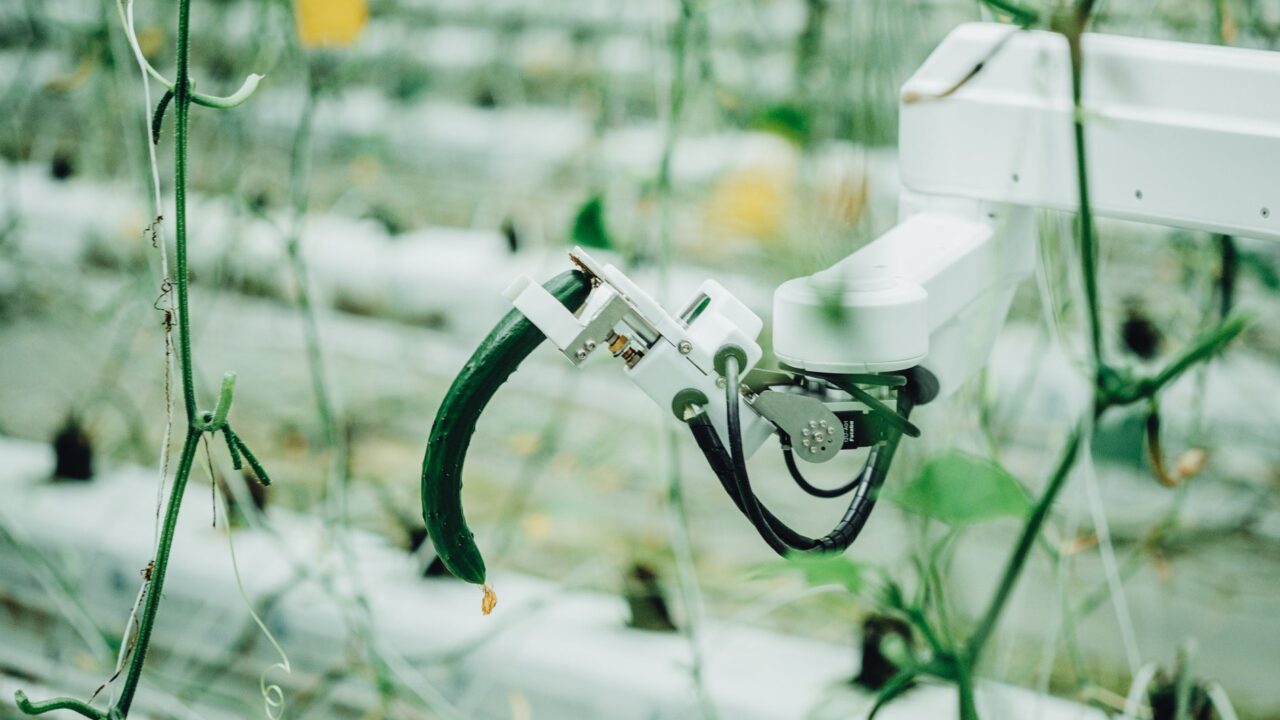 AGRIST、農水省のスマート農業計画に認定。きゅうり栽培の省力化を加速