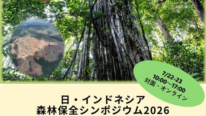 日・インドネシア森林保全シンポジウム開催へ。サプライチェーンの環境リスクを議論