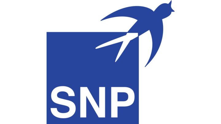 SNPとPalantirが提携、SAP移行を効率化するAI搭載ソリューション開発へ