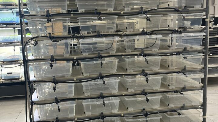 エネアグリ、完全資源循環型の植物工場システムを特許出願。初期投資を低減