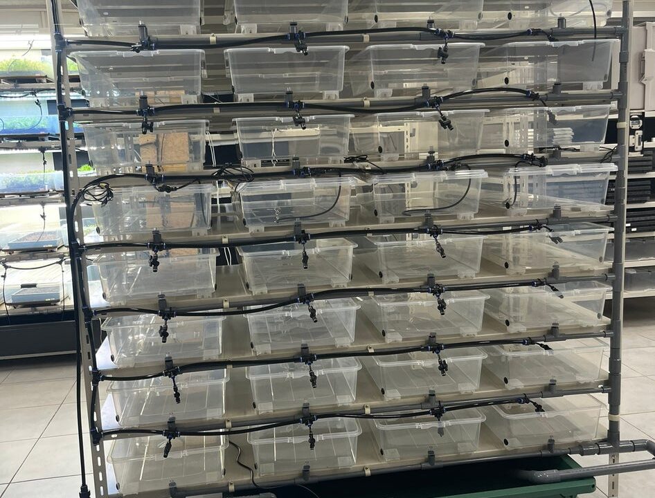 エネアグリ、完全資源循環型の植物工場システムを特許出願。初期投資を低減