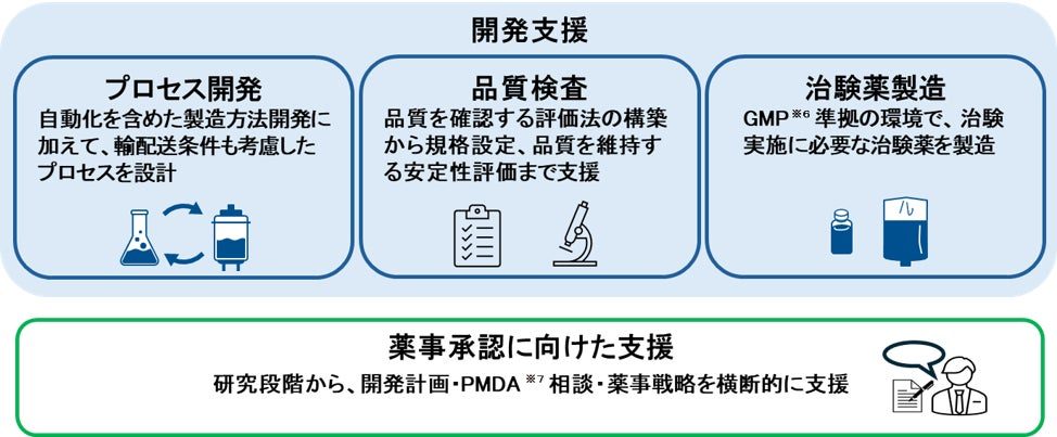 セルリソーシズ、再生医療の開発・製造拠点「羽田PDC」を稼働開始