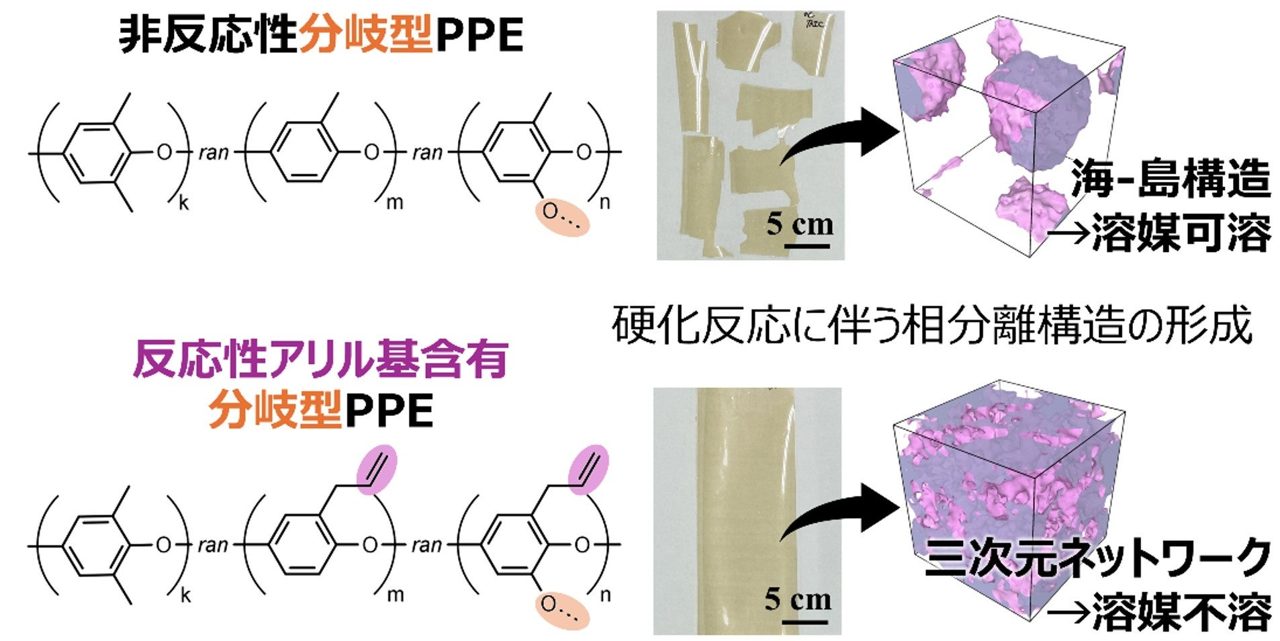 高周波基板向けPPE材料の耐溶剤性向上メカニズムを解明 東北大学と太陽HD