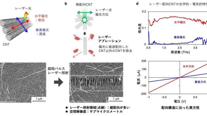 東京理科大など、CNTの局所配向を制御する新光プロセス技術を開発