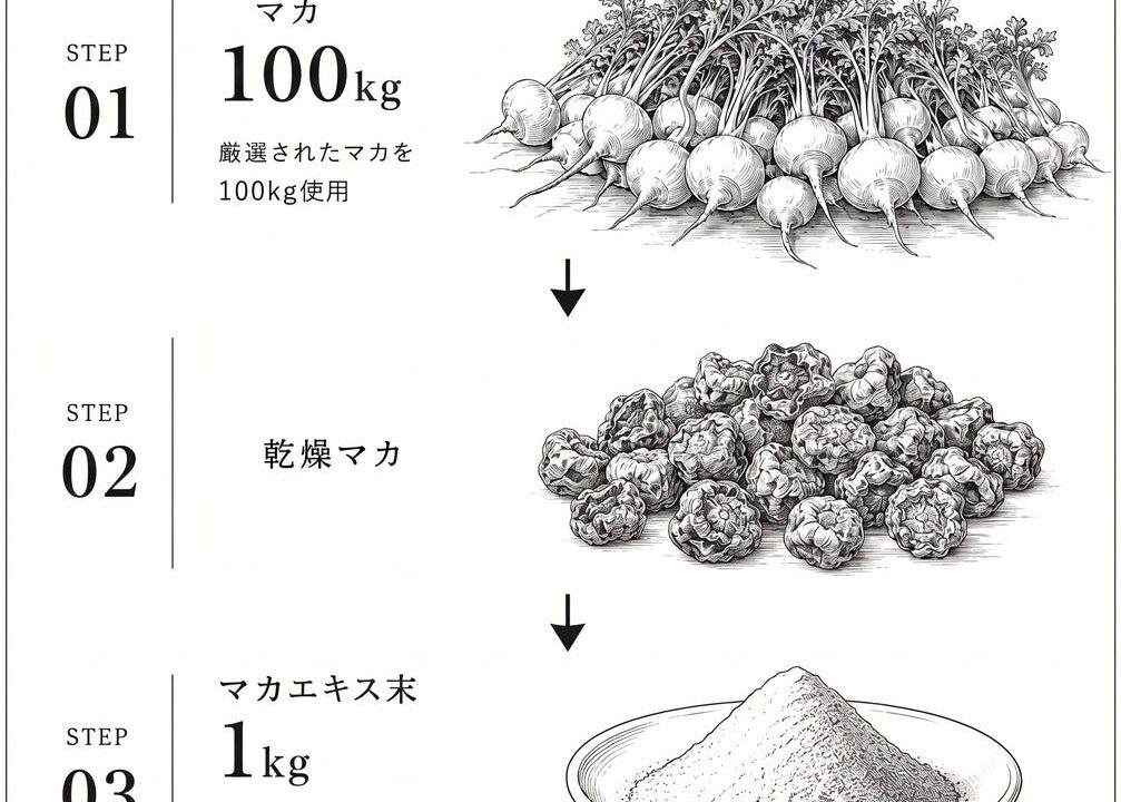 LOTUS企画、国内GMP認定工場で製造するマカ＆亜鉛サプリを先行販売