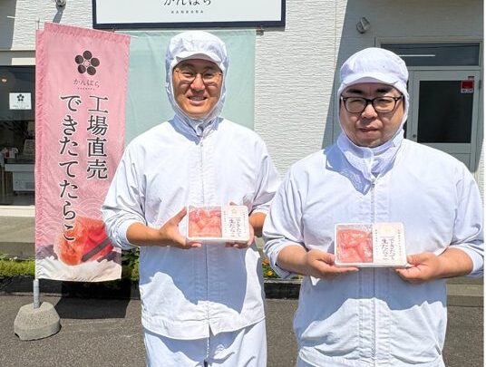 蒲原水産、冷凍を挟まない「できたて生たらこ」の全国発送を開始