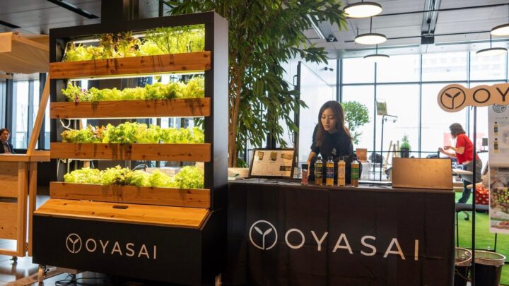 OYASAI、分散型植物工場の苗供給実証が農水省事業に採択