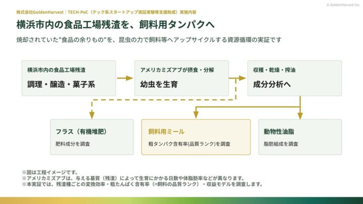 食品工場の残渣を飼料用タンパクへ、GoldenHarvestが横浜市で実証開始