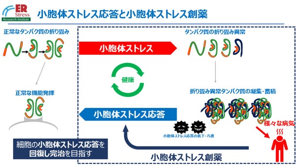 FRONTEOと小胞体ストレス研究所、AIを活用したバイオマーカー探索プロジェクトを開始